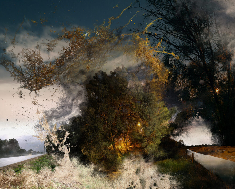 Daniel Kristjansson, Untitled (tree at night), 2021, digital photographic collage on ragpaper, 100 x 80cm, Image courtesy of the artist.